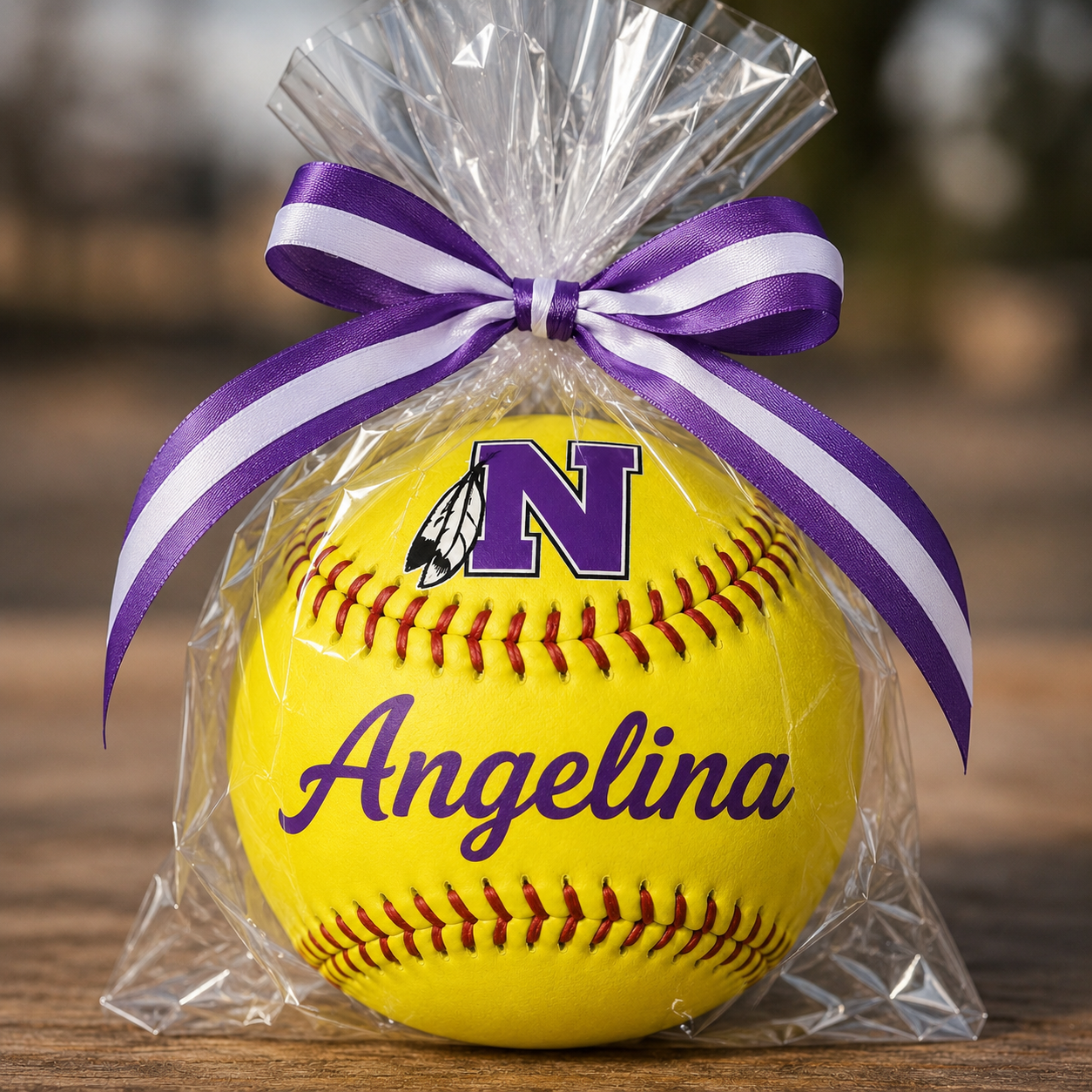 Personalized Team Ball Gift